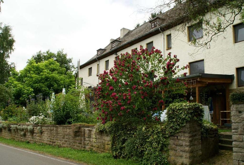 佐豪斯阿尔特斯酒店 Ammeldingen an der Our 外观 照片